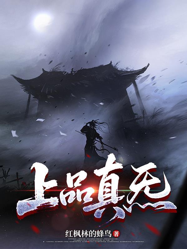 上品真炁免费阅读