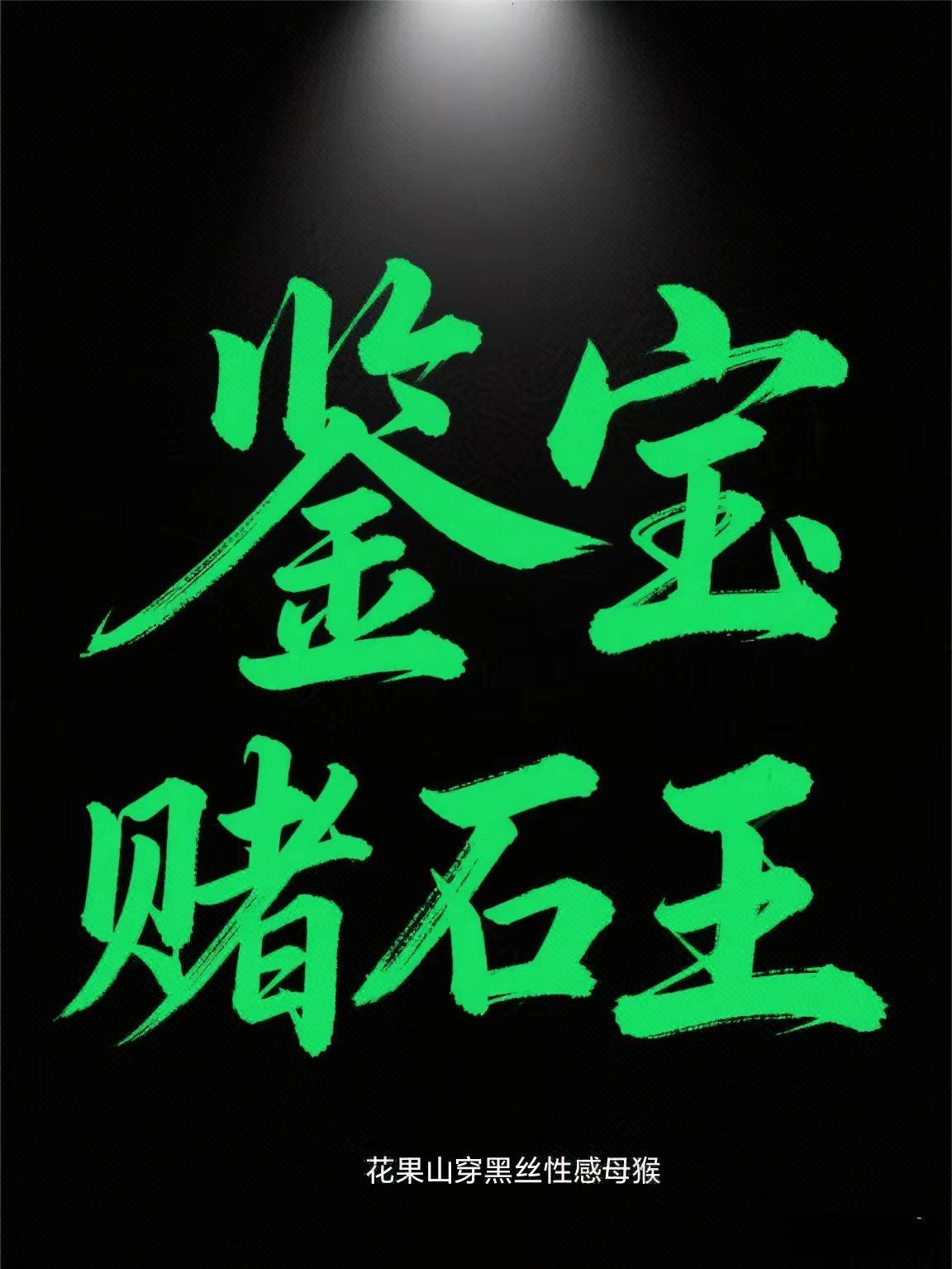 赌石鉴宝王笔趣阁