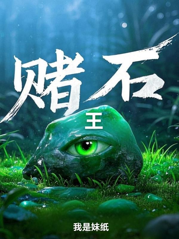赌石之王