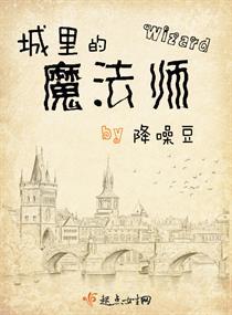 城里的魔法师TXT全本免费阅读