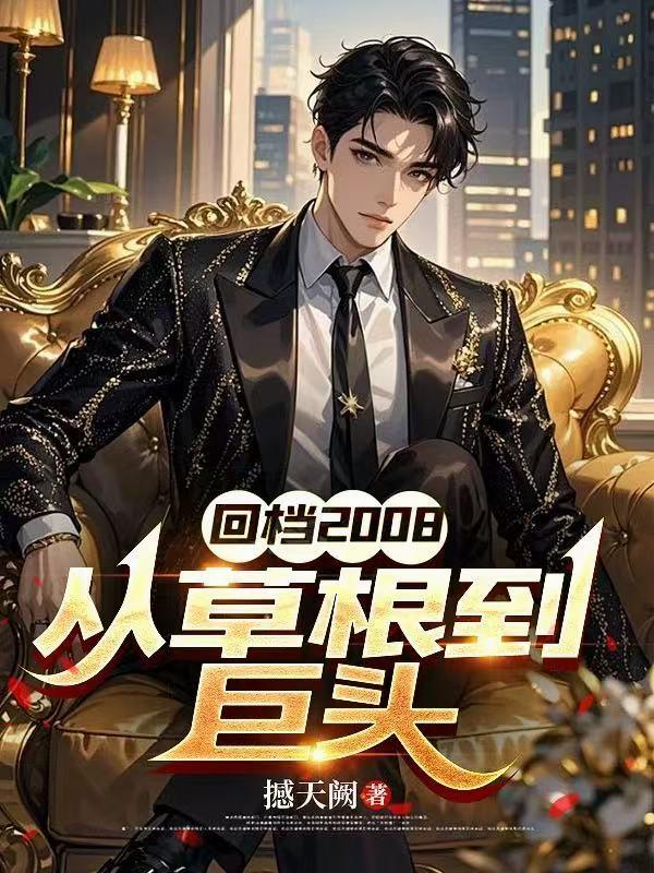 回档2008从草根到巨头几个老婆