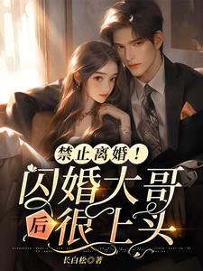 闪婚大哥很上头