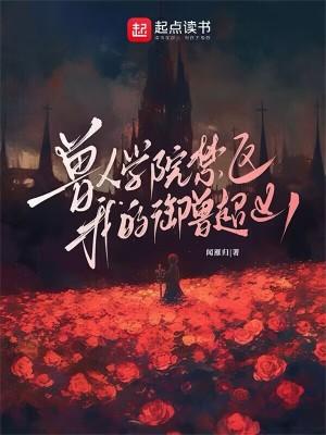 兽人学院游戏