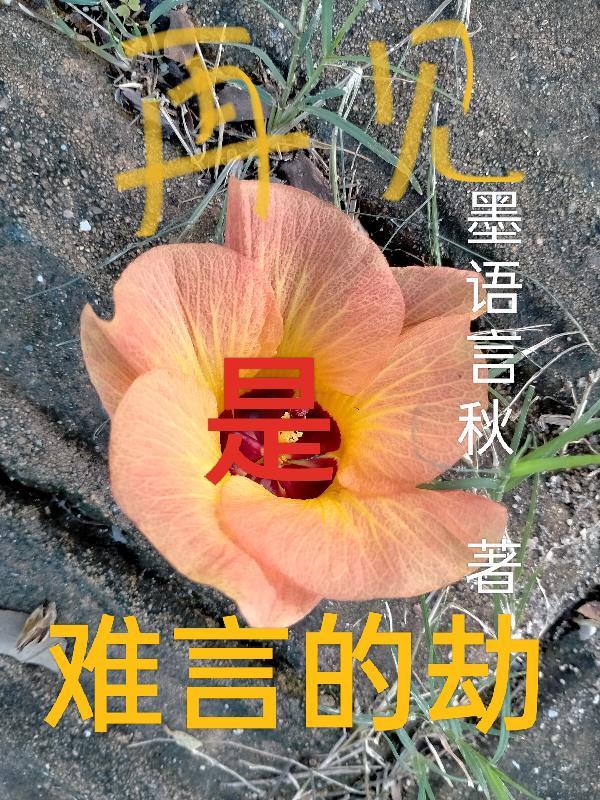 再见很难是什么意思
