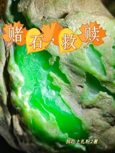 给毛料开窗没有人比我更专业和哪个一样