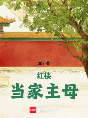 红楼当家主母txt资源
