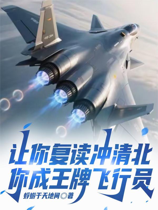 你成王牌飞行员