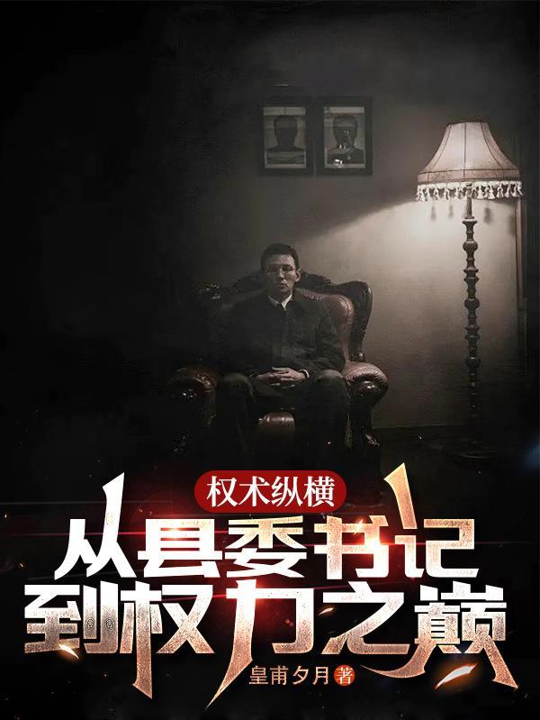 权术纵横从县委书记到权力之巅中京阳是省城吗