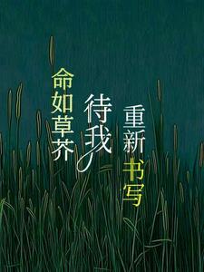 命如草芥古风
