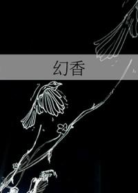 幻香木属于什么档次