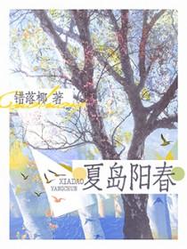 夏岛阳春椰梨汁免费阅读