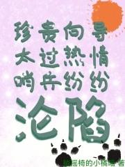 经典向导哨兵文