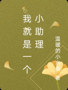 我就是一个小助理什么意思