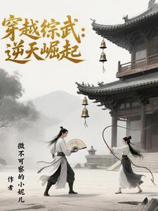 穿越综武世界召唤的