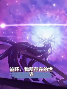 在崩坏的世界里