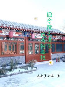 四合院重生之何玉柱