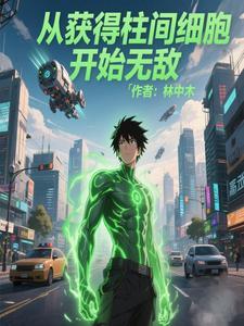 火影抽卡系统