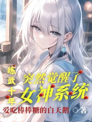 练武系统