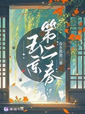 玉京第二春免费阅读