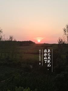 被系统逼着谈恋爱