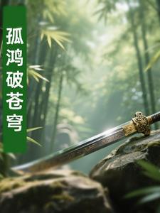 孤鸿动画