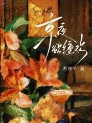 京夜欲坠简介