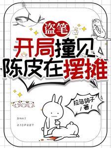 盗墓从老九门开始采集免费阅读
