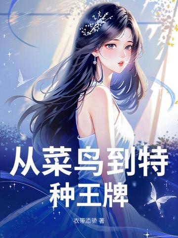 从菜鸟到高手的电视剧