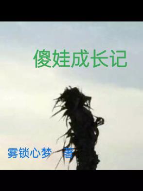 傻娃传奇有声