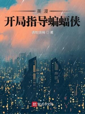 美漫开局指导蝙蝠侠同人