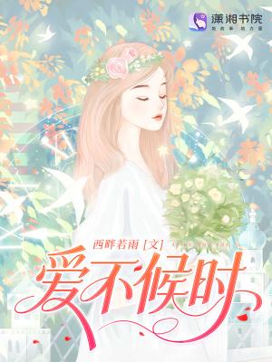 爱不什么不