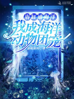 我的浴缸通海洋2k
