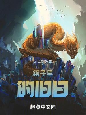 旧箱子里的猫什么意思