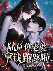 陆总你老婆又跑了