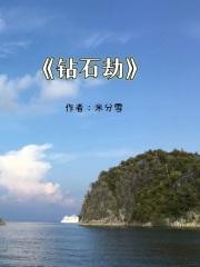钻石劫案1984在线观看