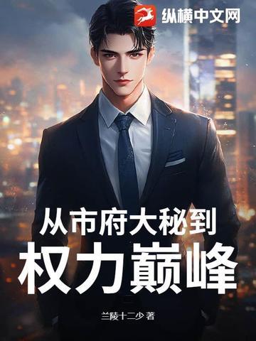 从市府大秘到权力巅峰 第2章