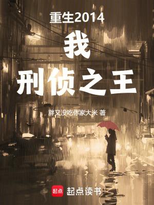刑侦之王TXT