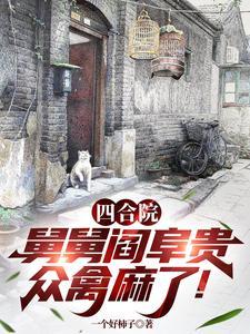 四合院我是阎解