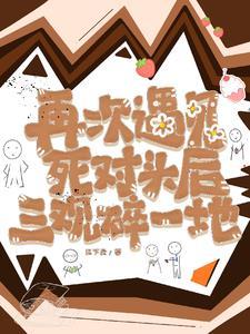 再次遇见他重生文