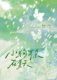 小狗耳朵在夏天