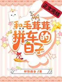 和毛茸茸拼车的日子
