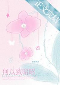 何以致昭昭